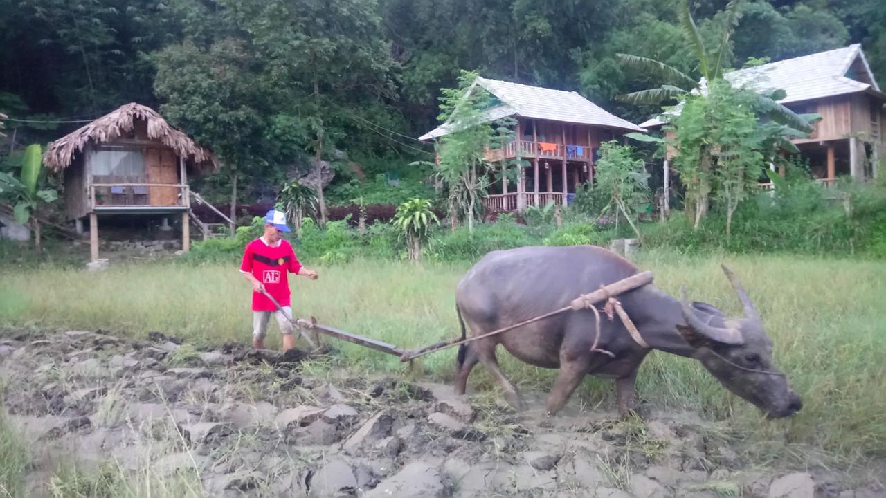 Little Mai Chau Home Stay Exterior photo