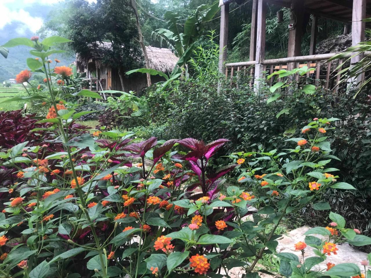 Little Mai Chau Home Stay Exterior photo