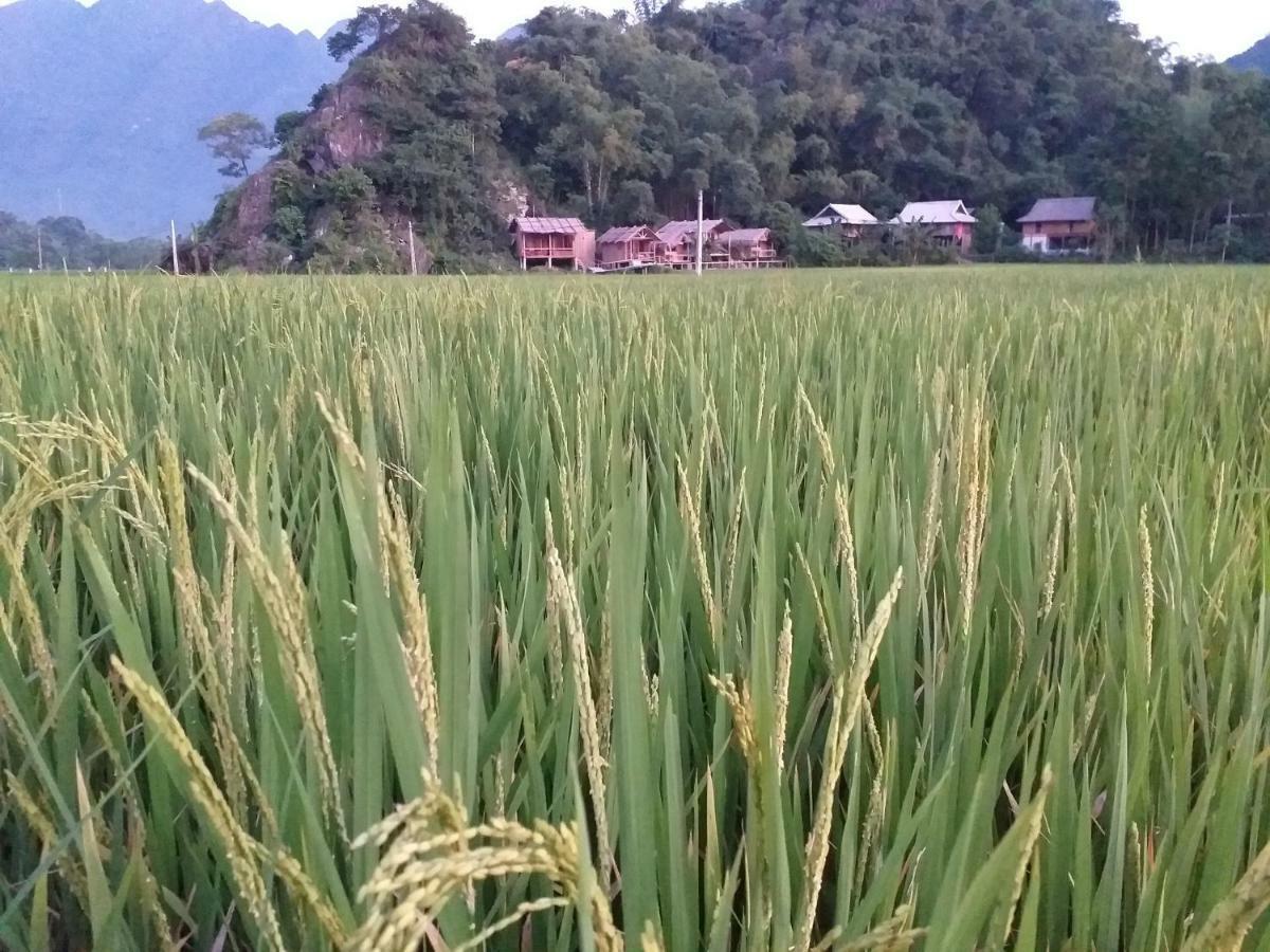 Little Mai Chau Home Stay Exterior photo